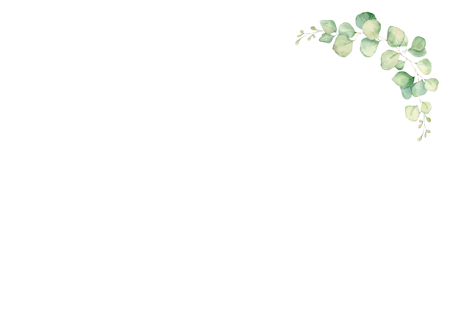 bg-02