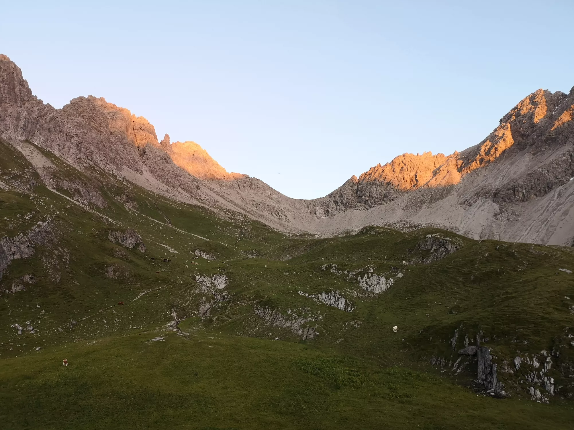 img-20210901-194941